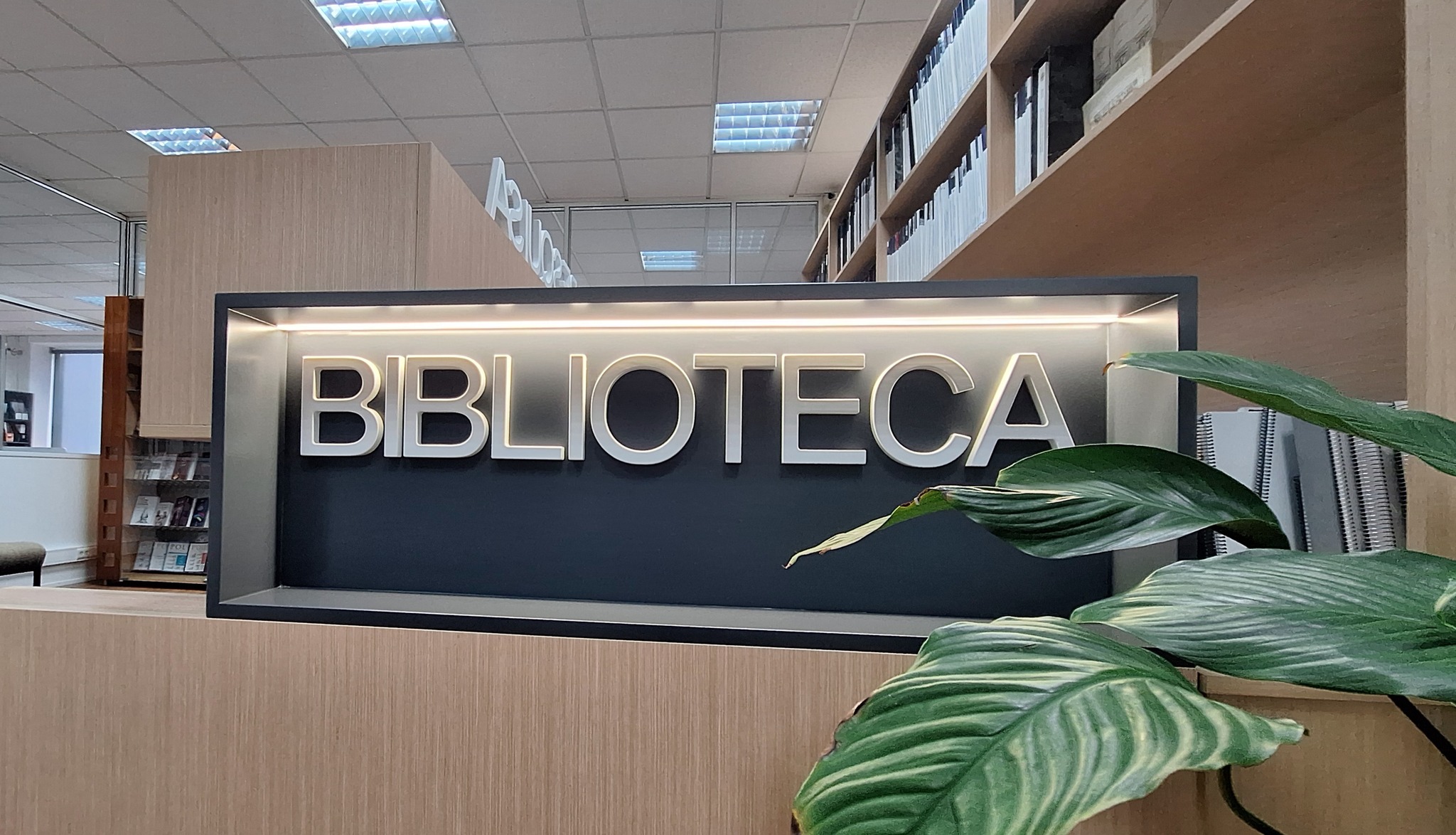 A Biblioteca, renovada,  de todos e para todos