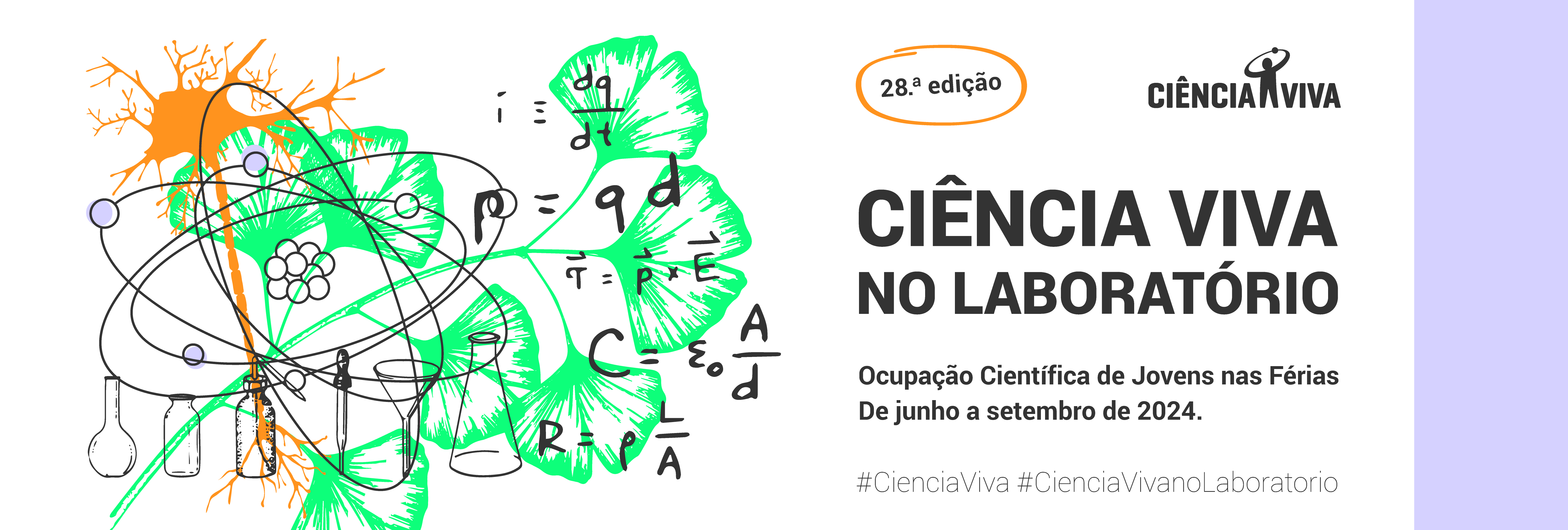 Estágios Científicos de Verão na Lusíada