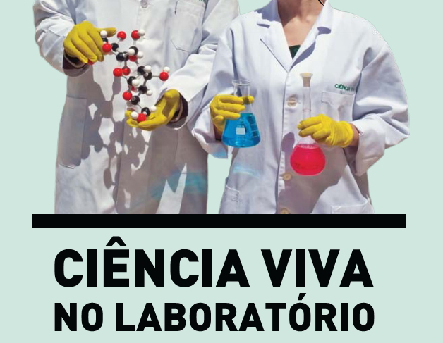 Notícia
