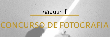 Notcia