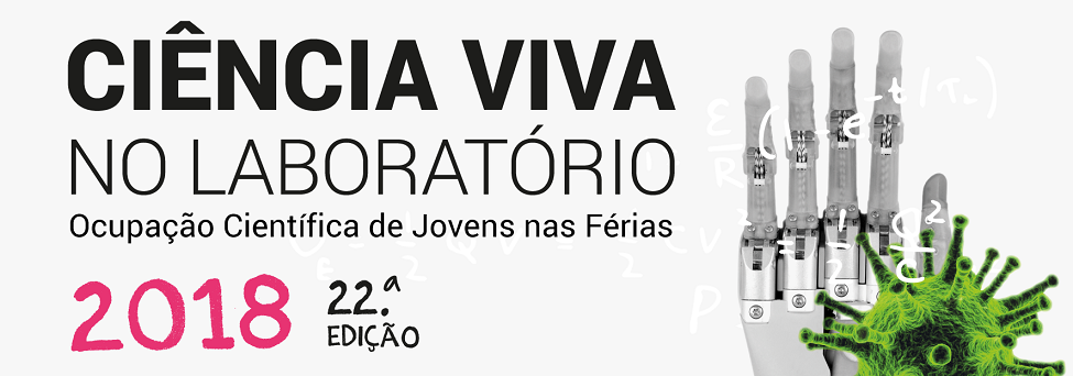 Notícia